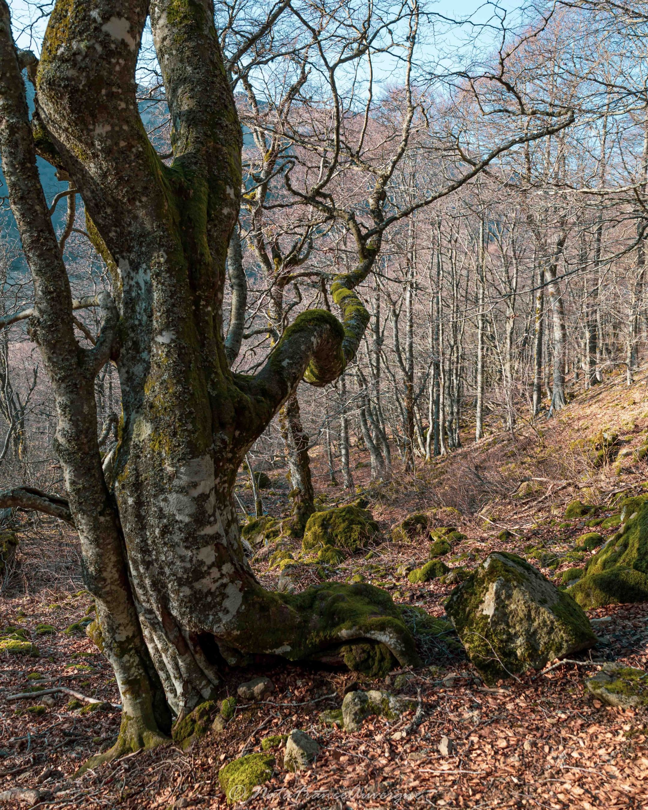 Vallée de Chaudefour by NataFranceAuvergne-37